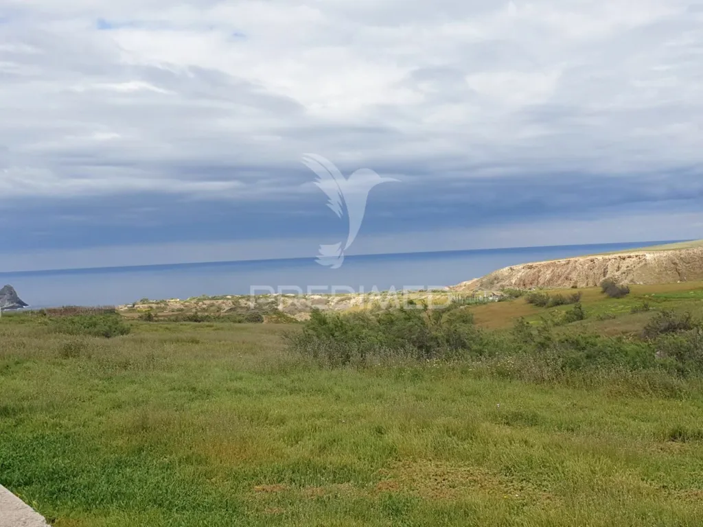 Garden - Flat Land with Sea View in Porto Santo