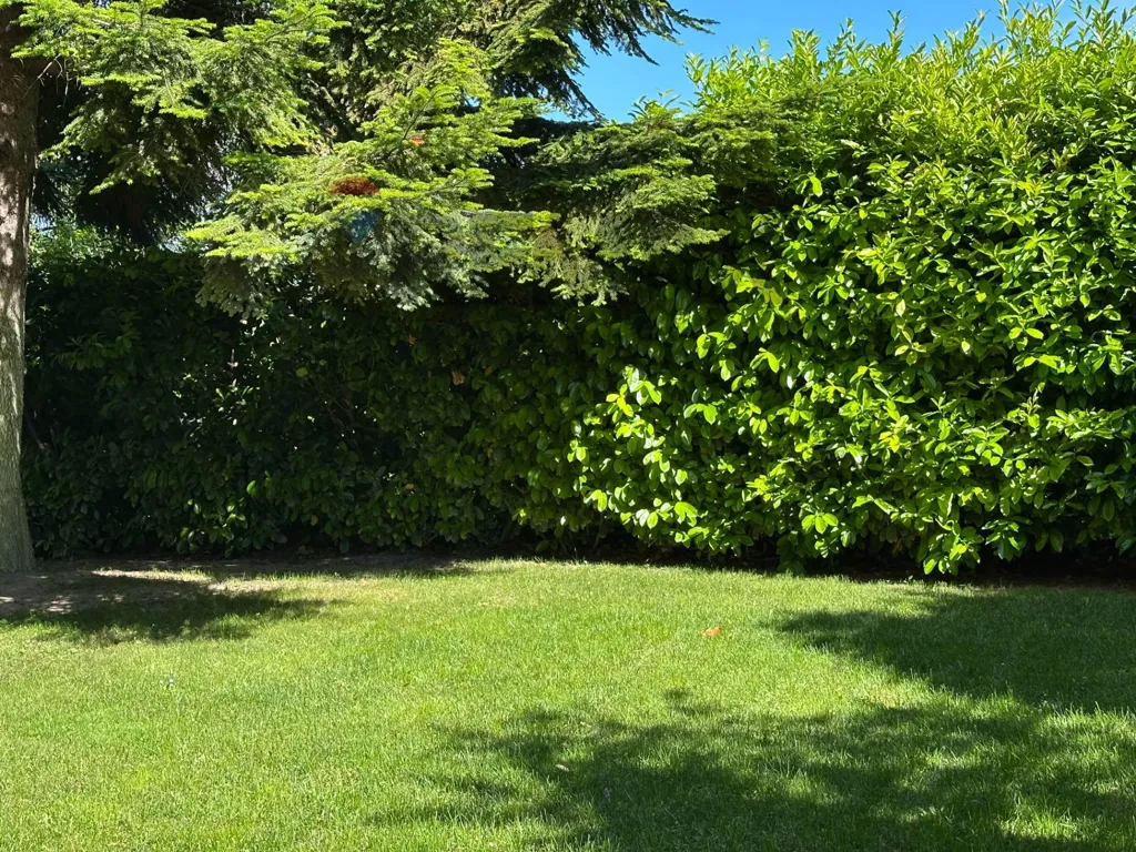 Aed - Lakefront Apartment with Terraces in Colledimezzo