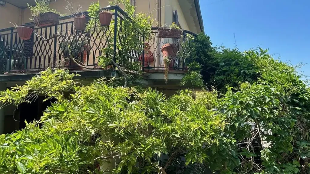 Balcon - Residential Complex with Olive Grove in Montespertoli