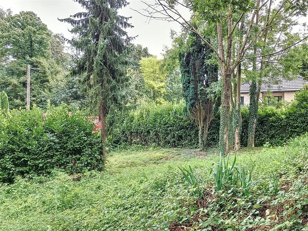 Jardin - Terrain à Bâtir en Zone d'Habitat à Morlanwelz-Mariemont