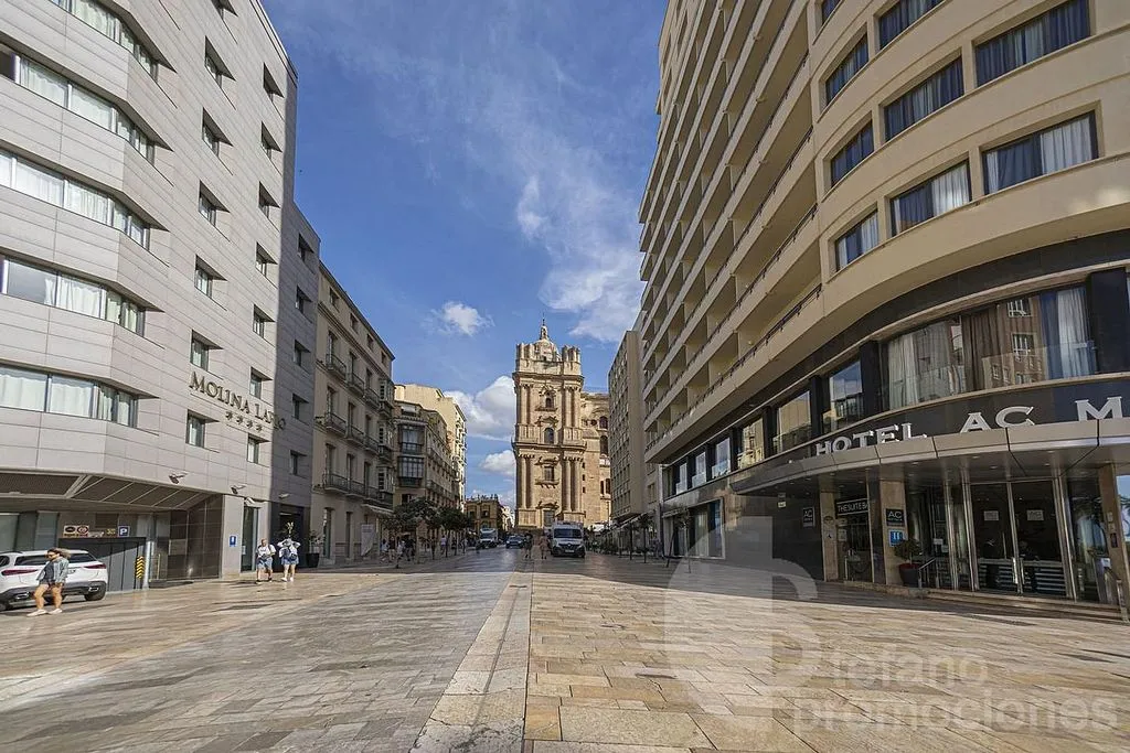 Esterno - Duplex Penthouse with Cathedral Views in Málaga