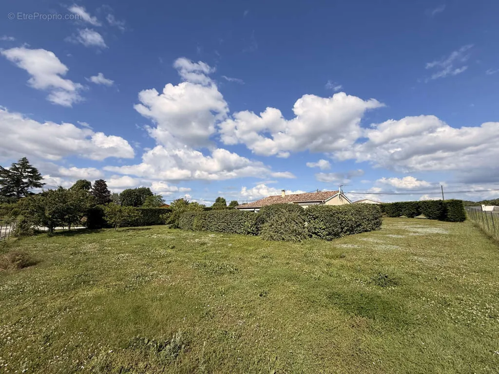 Jardin - Maison Individuelle avec Grand Terrain Clôturé