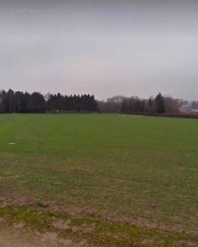 Giardino - Constructible Plot with Garden in Bourgogne