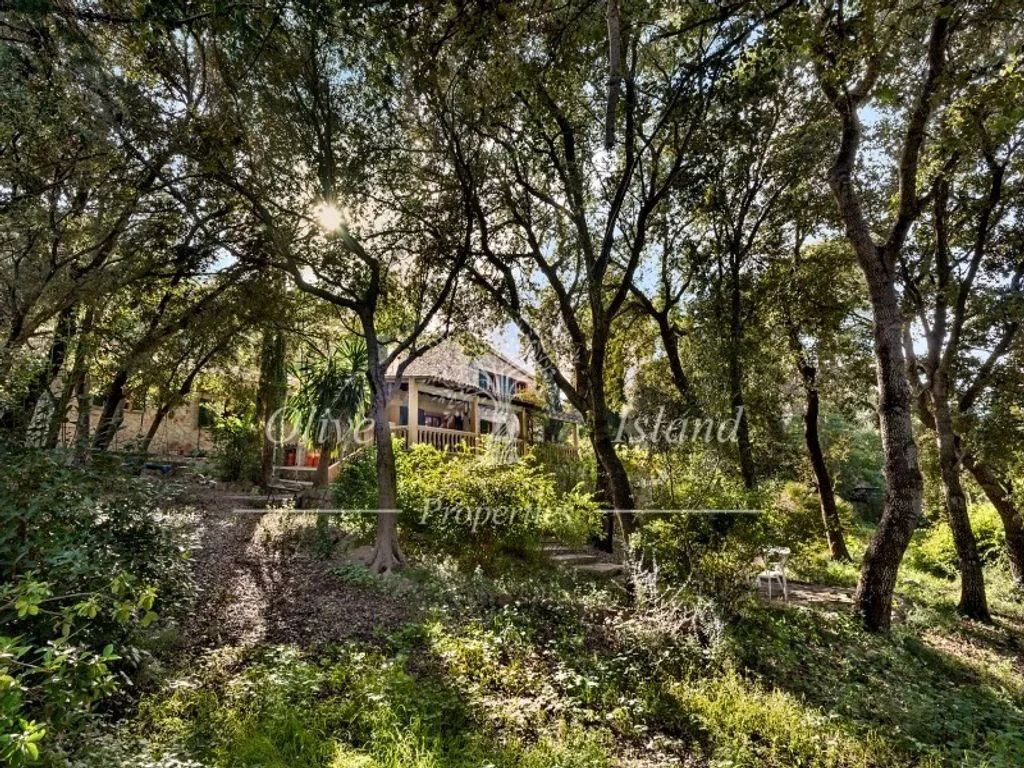 Aed - Luxury House with Pool and Gardens in Alaró