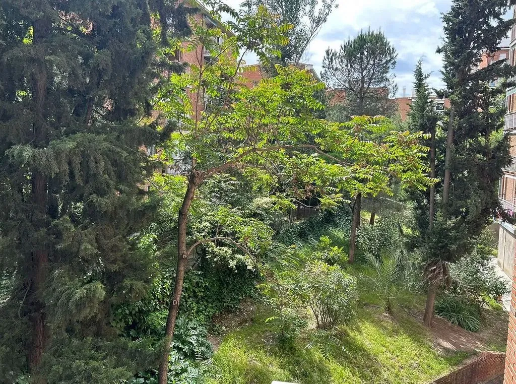 Jardin - Bright Apartment with Terraces in Ventas