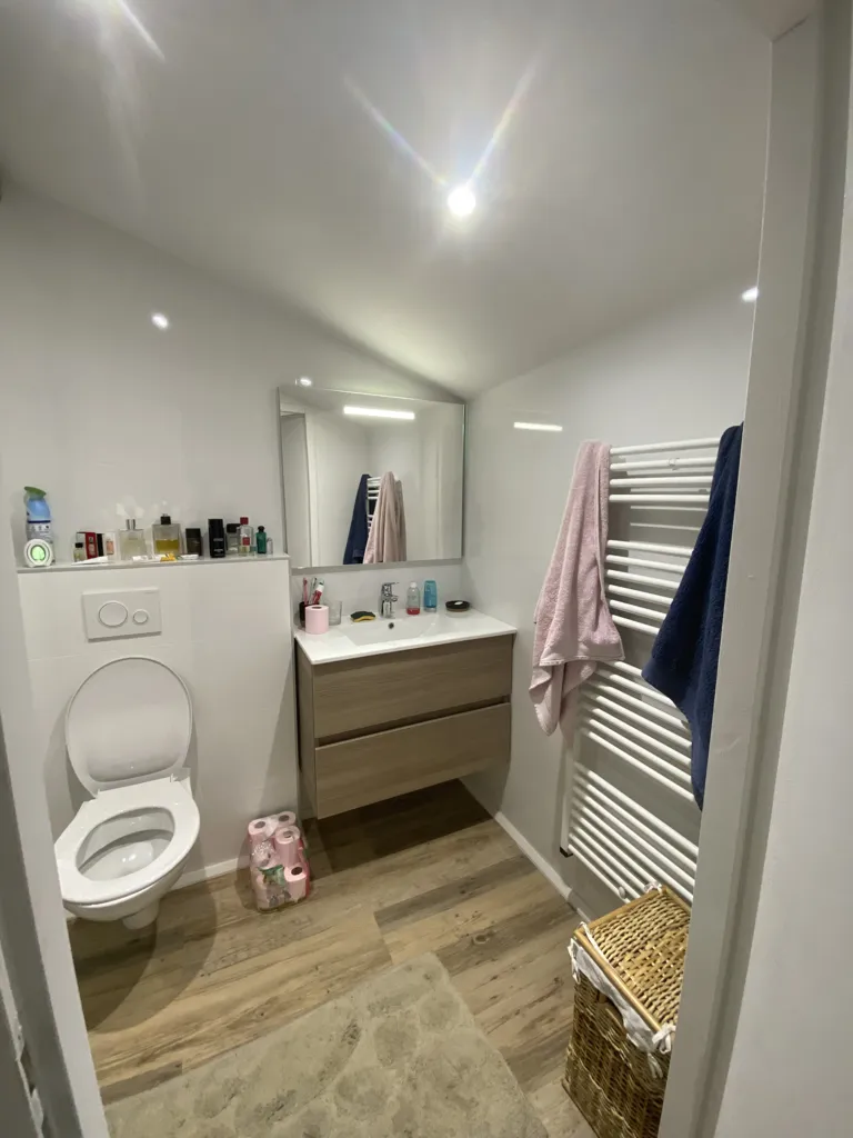 Bagni - Refurbished Studio in Toulouse - Compans Caffarelli