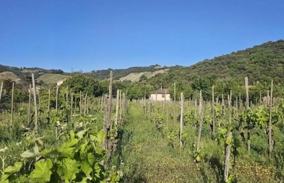 Maison 5 pièces à Cornas