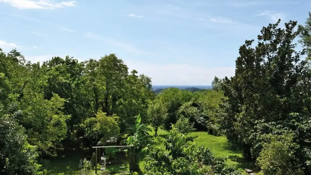 Jardin - Rustic Villa with Garden in Montebelluna