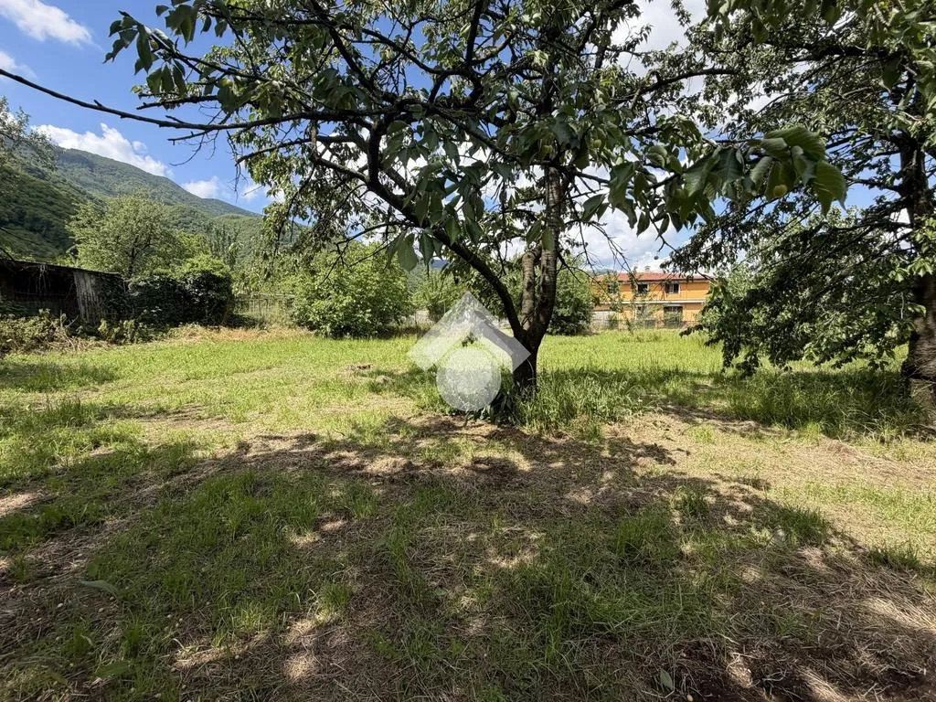 Jardin - Agricultural Land with Cherry Trees in Cervinara