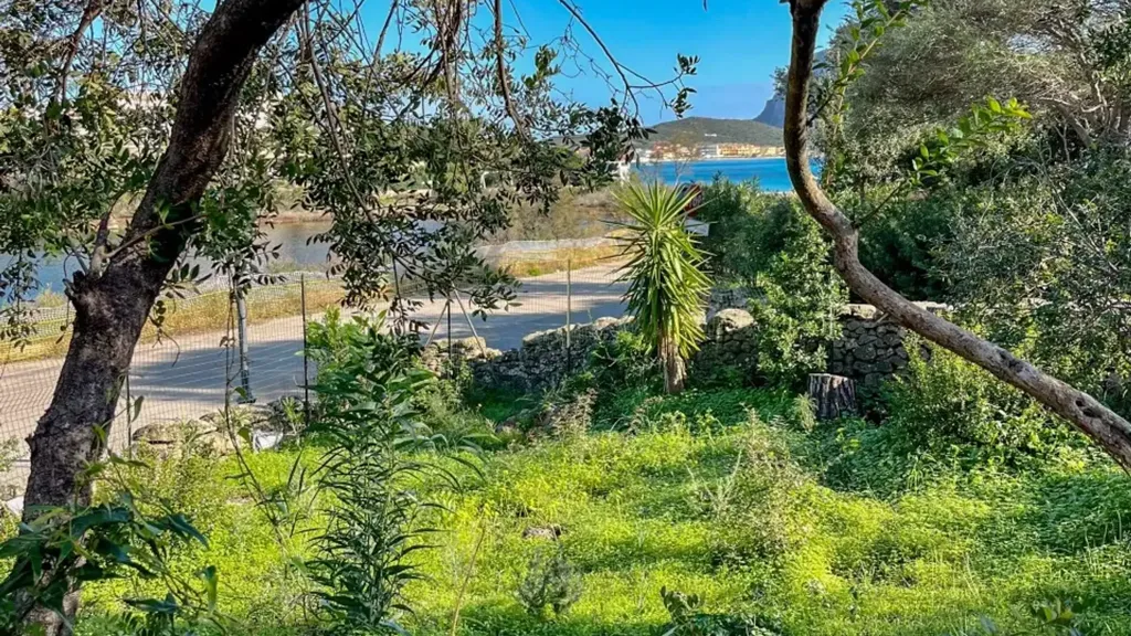 Jardin - Villa with Sea View in Golfo Aranci