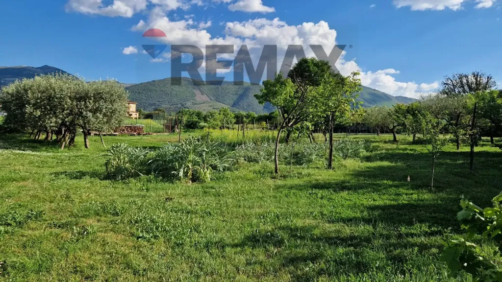Giardino - Rustic Villa with Garden in Monticelli, Esperia