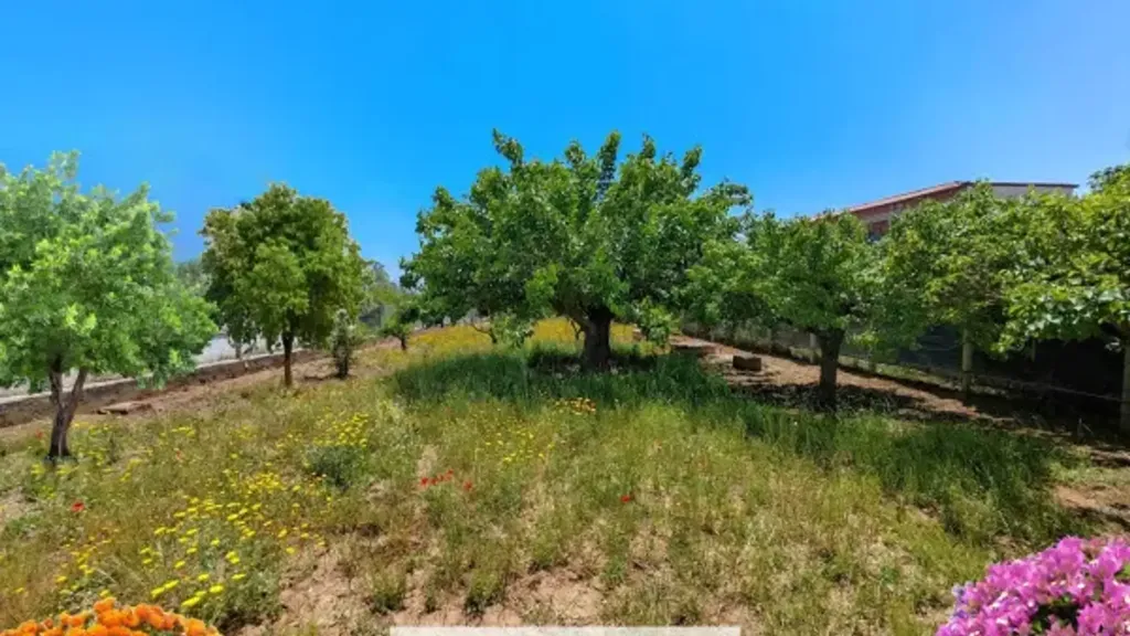 Jardin - Rustic Villa with Private Garden in Canicattì