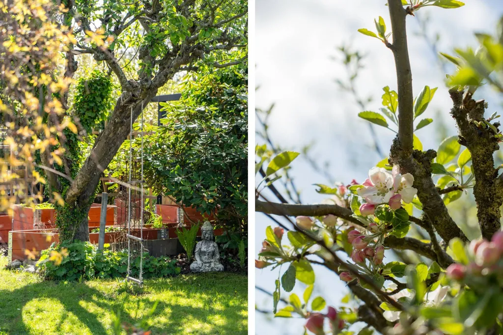 Aed - Charming Cottage with Garden in Senderöd