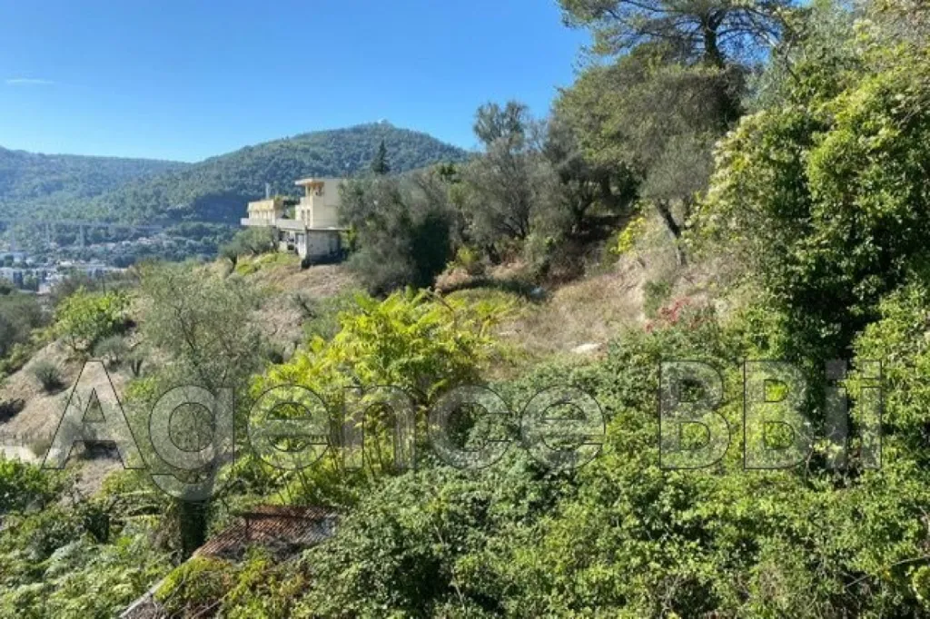 Jardin - Terrain Constructible avec Vue Montagne à Nice