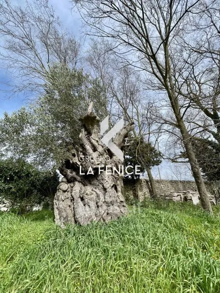 Aed - Rustic Masseria with Panoramic Views in Martina Franca