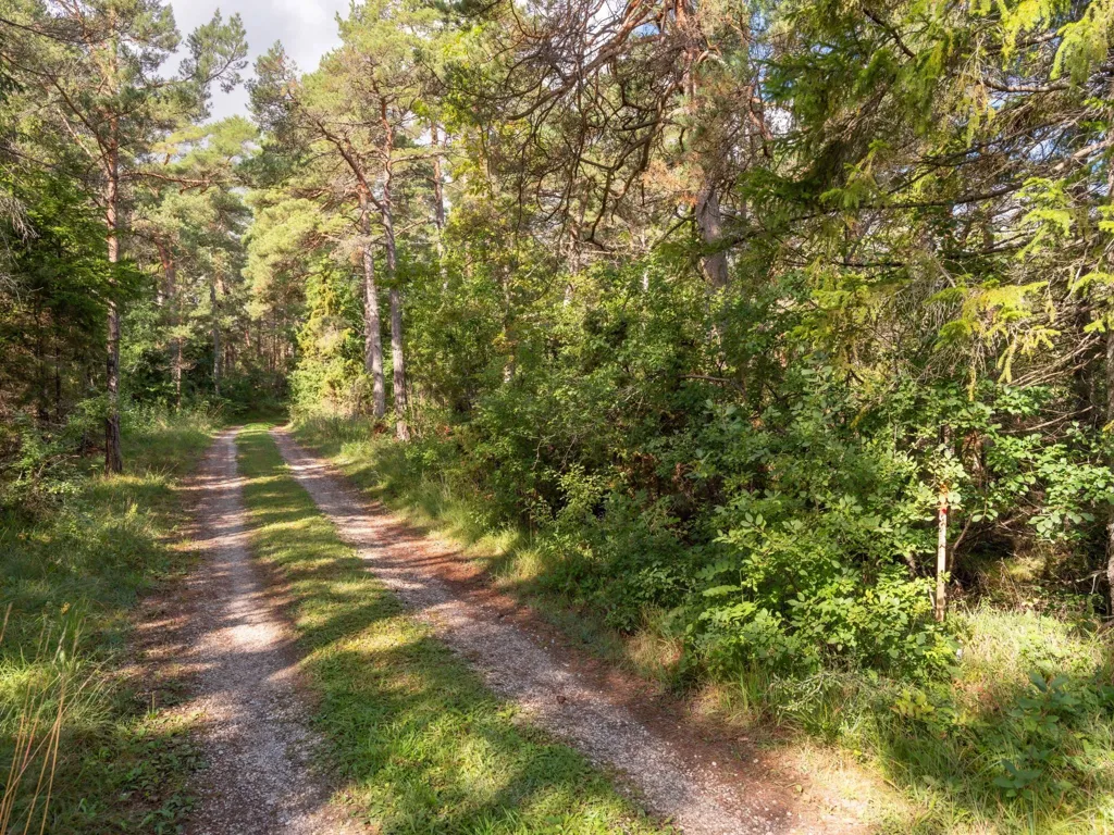 Aed - Large Plot with Preserved Vegetation in Anga