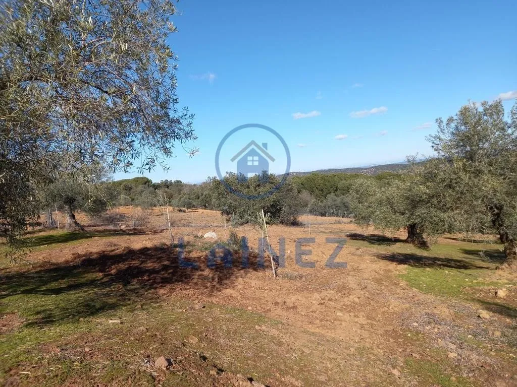 Jardin - Country House with Mountain Views in Villanueva del Rey