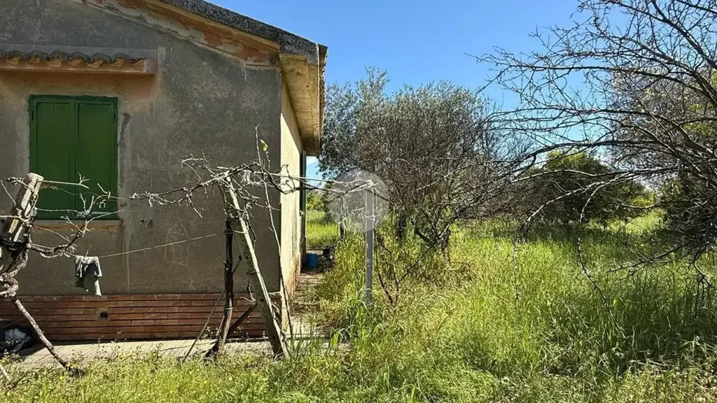 Extérieur - Rustic House with Large Garden in Corigliano-Rossano
