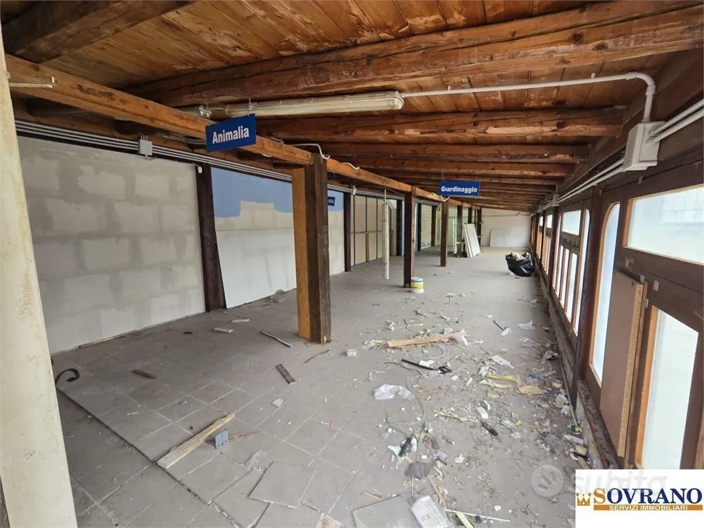 Toad - Commercial Complex with Parking in Monreale