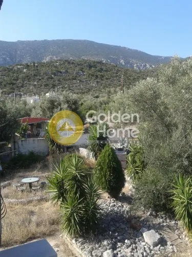Aed - Plot with Olive Trees in Skroponéri, Boeotia