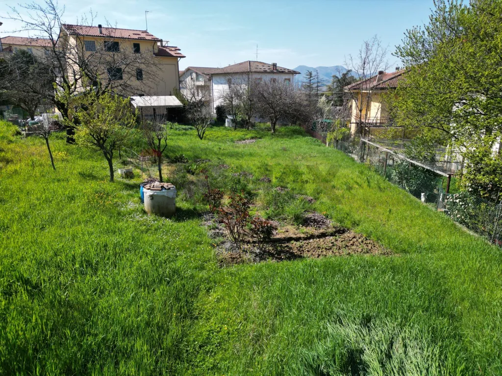Jardin - Cielo-Terra House with Garden in Cupramontana