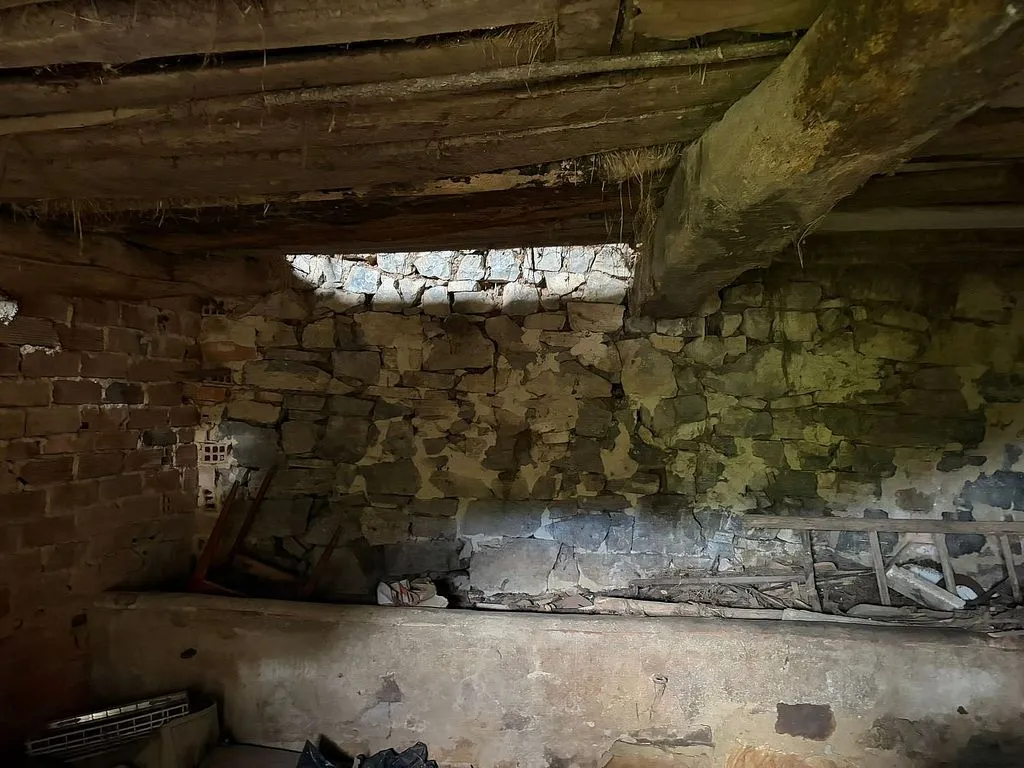 cellar