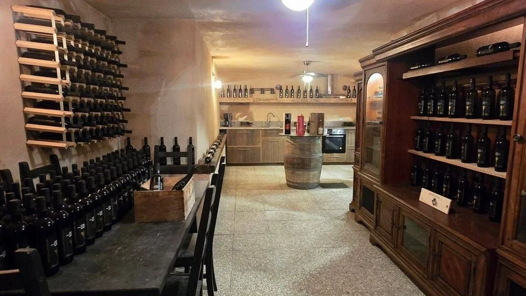 Toad - Exclusive Country House with Pool in Allerona