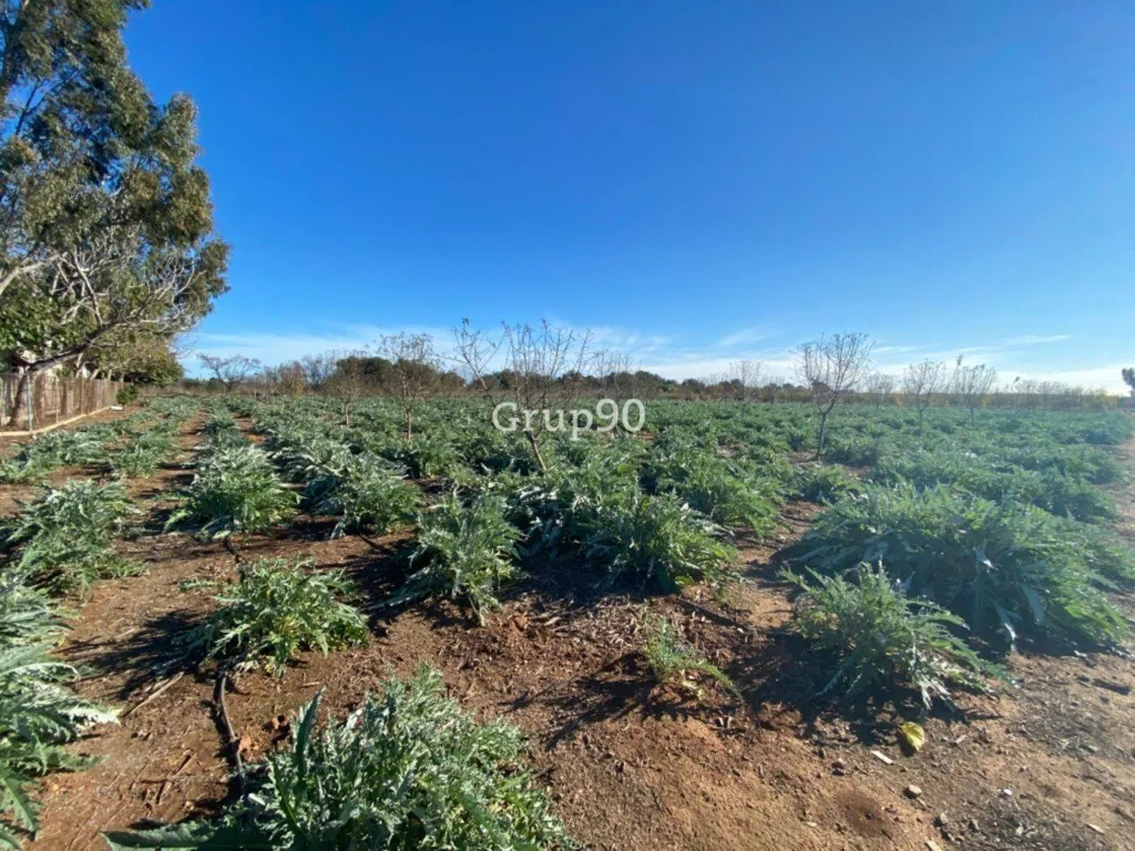 Jardin - Pig Farm with Cultivation in Cabanes