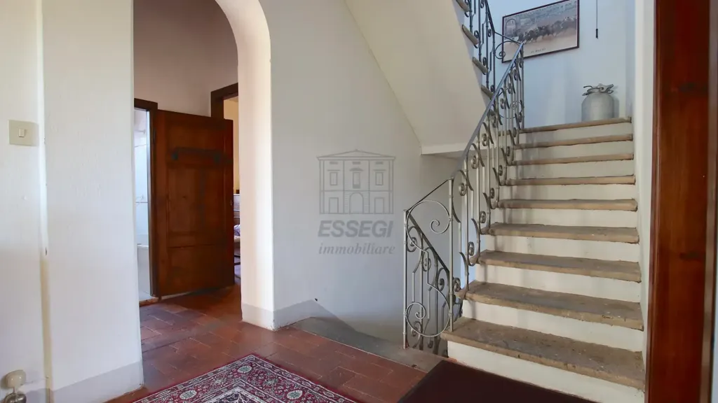 Toad - Early 20th Century Villa with Panoramic Views near Lucca