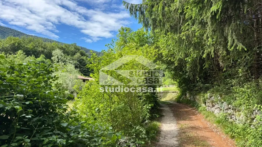 Jardin - Rustic Cottage for Renovation in Cimone