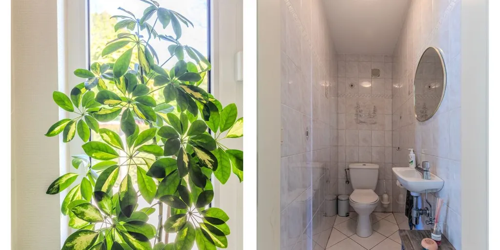 Bagni - Detached House with Garden in Lanaken