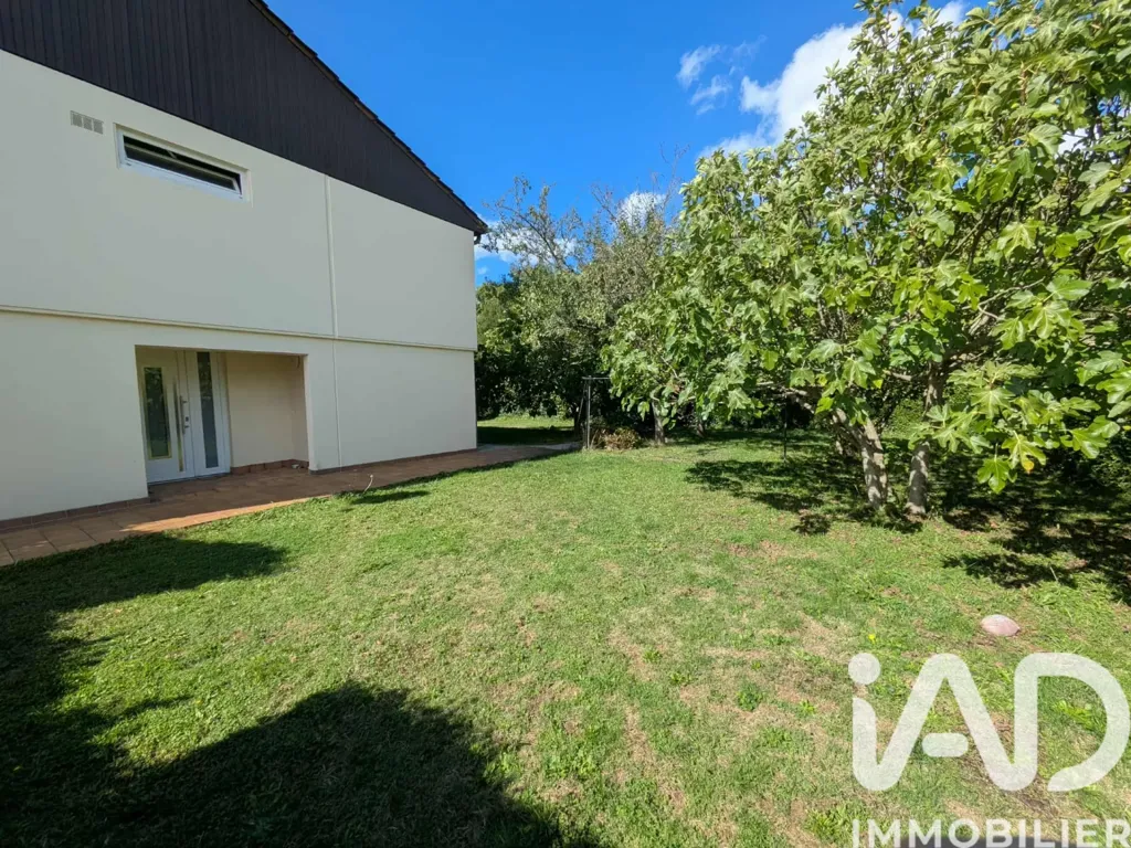 Giardino - Maison Mitoyenne with Garden in Terville