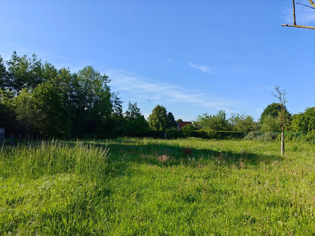 Aed - Open Development Plot in Mol