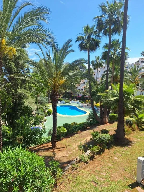 garden