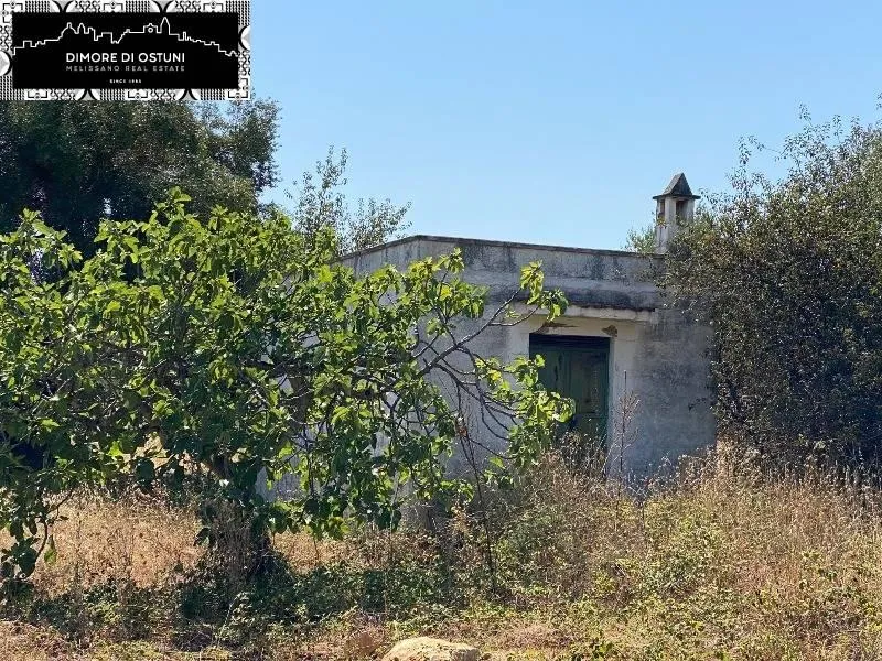 Rustic Lamia with Olive Grove in Ostuni