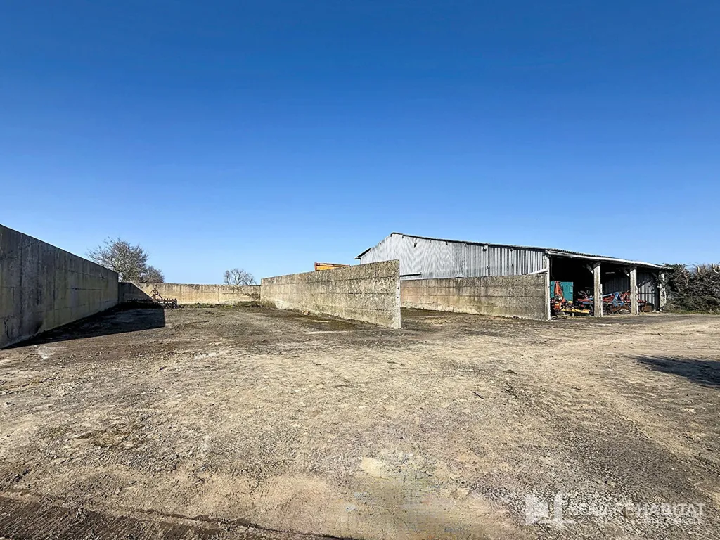 Garden - Large Stone House with Courtyard in Lezardrieux