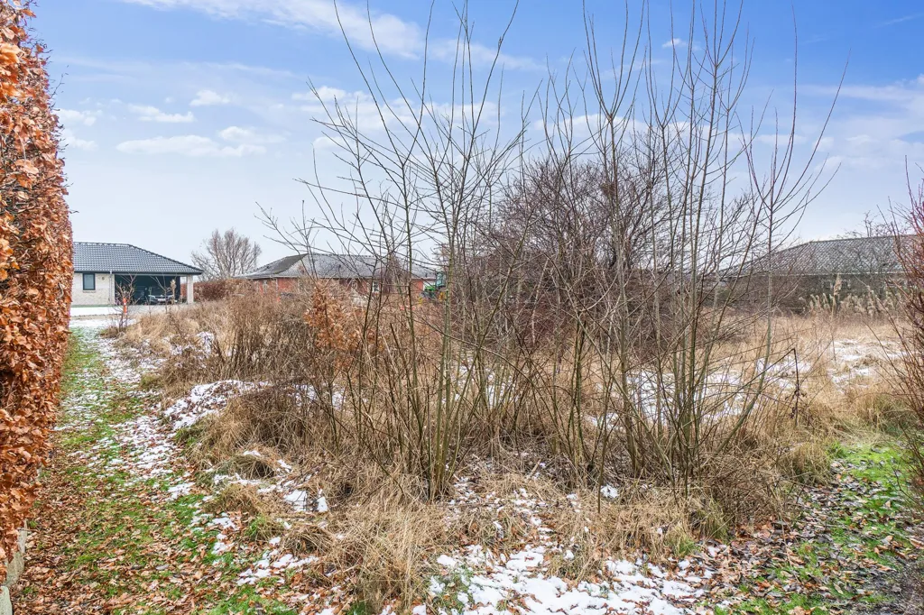 Aed - Year-Round Plot with 5G Coverage in Højby