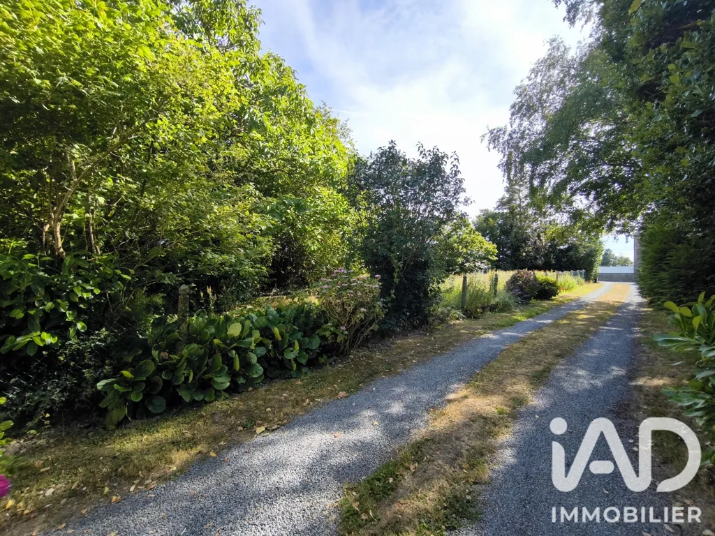 Garden - Character House with Garden in Condé-sur-Vire