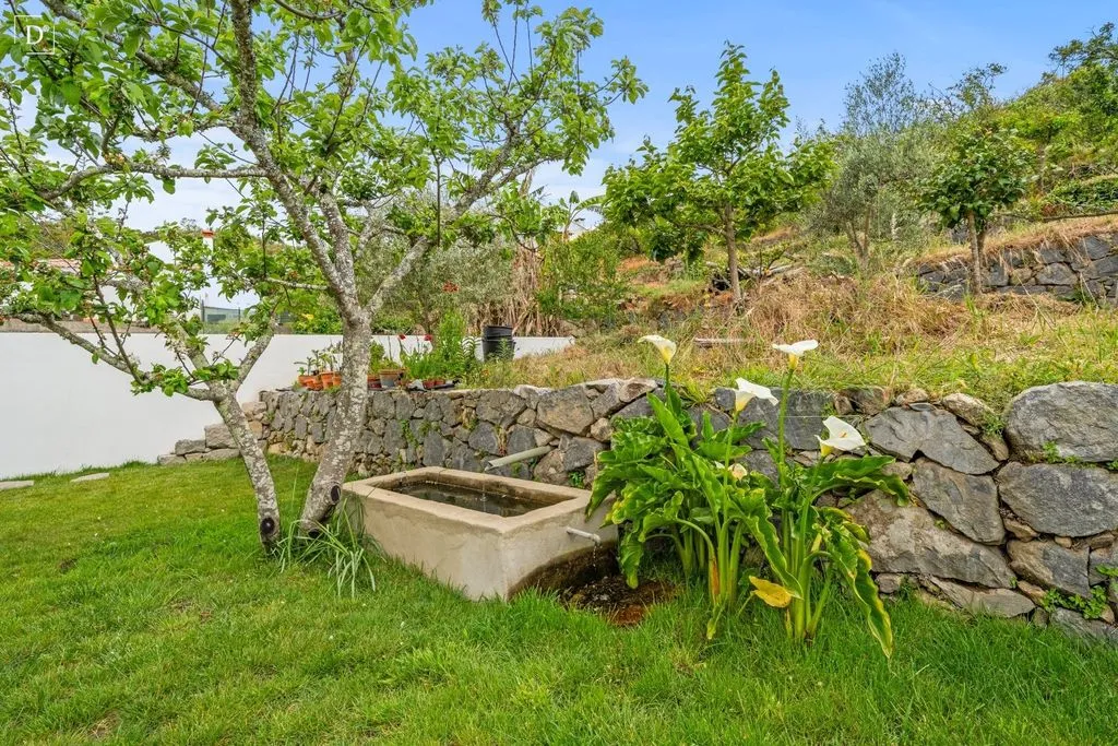 Aed - Luxury Villa with Mountain Views in Monchique