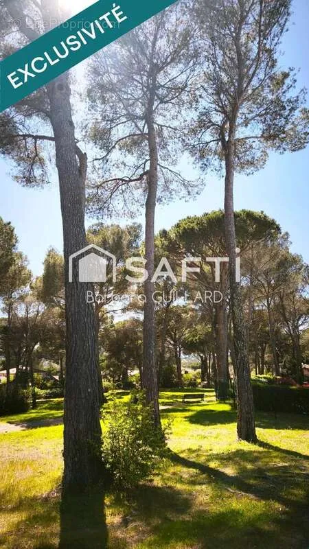 Giardino - Professional Space with Balcony in Saint-Raphaël