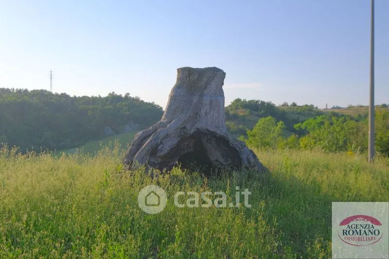 Jardin - Rustic Farmhouse with 28,000sqm Land in Sorba
