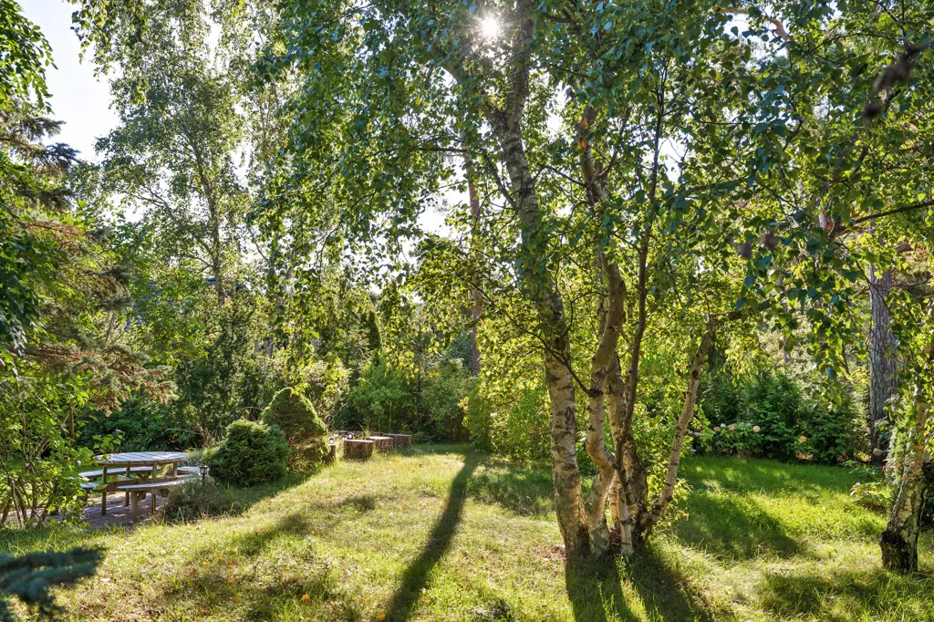 Aed - Architectural Villa with Garden in Ljunghusen