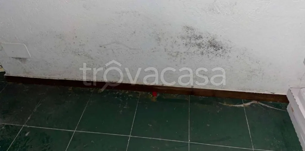 Toad - Studio Flat with Garden View in Sauze di Cesana