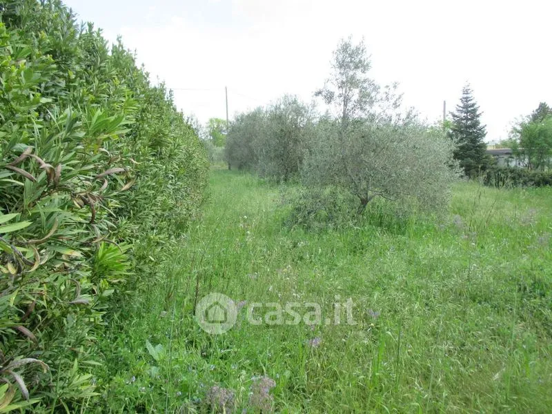Jardin - Rustic Villa with Olive Grove in Pago Veiano