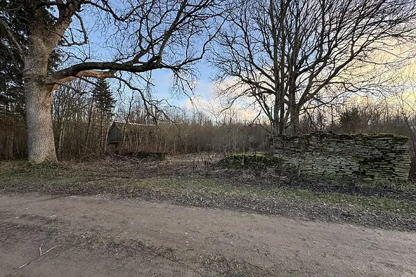 Jardin - Terrain à Haljala vald