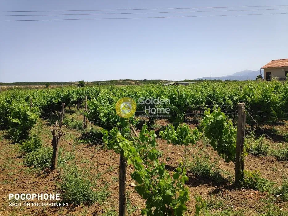 Land in GR