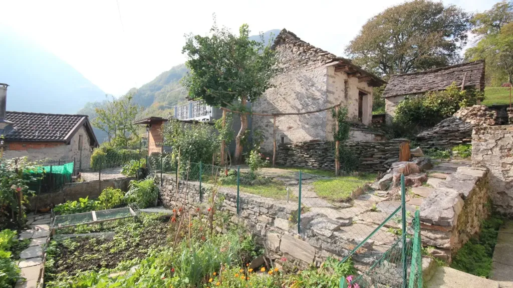 garden