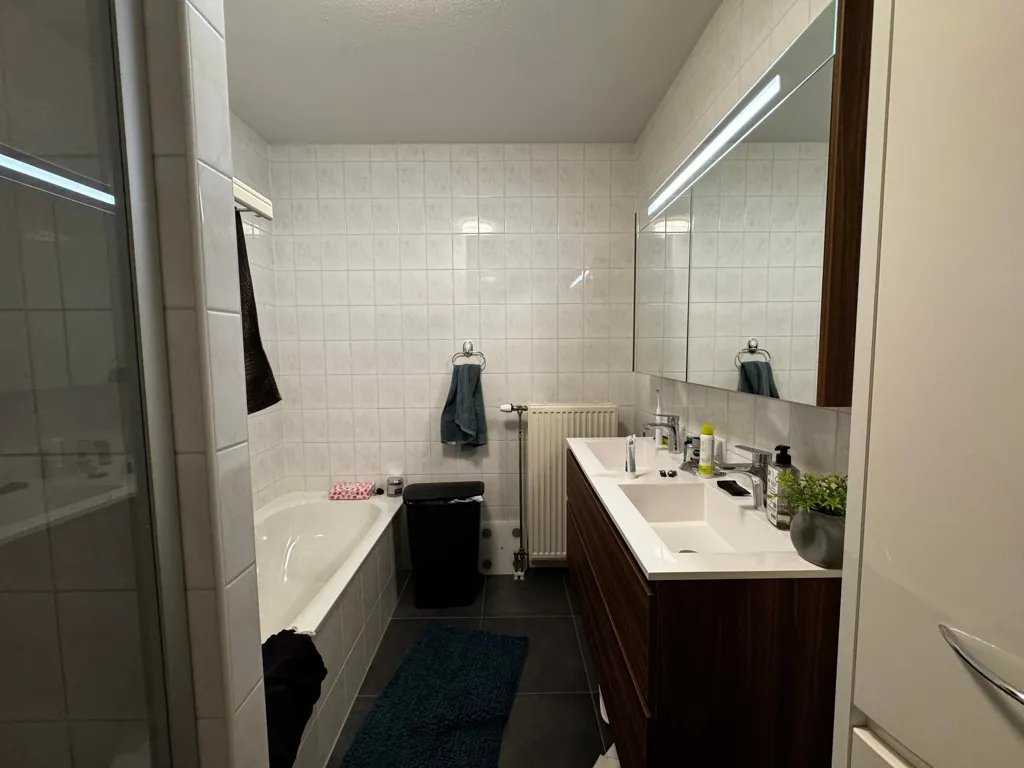 Vannitoad - 3-Bedroom Apartment in Eindhoven's Green Area