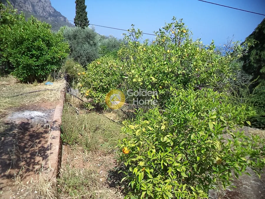 Jardin - Plot for Construction with Sea View in Diakopto