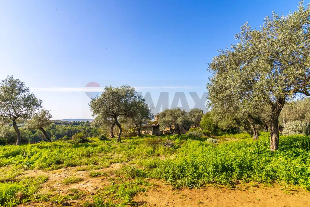 Jardin - Buildable Land with Panoramic View in Monte Furru, Sassari